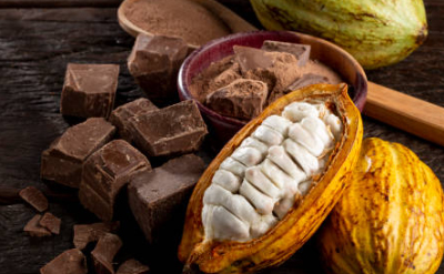 Cocoa Pyrazine
